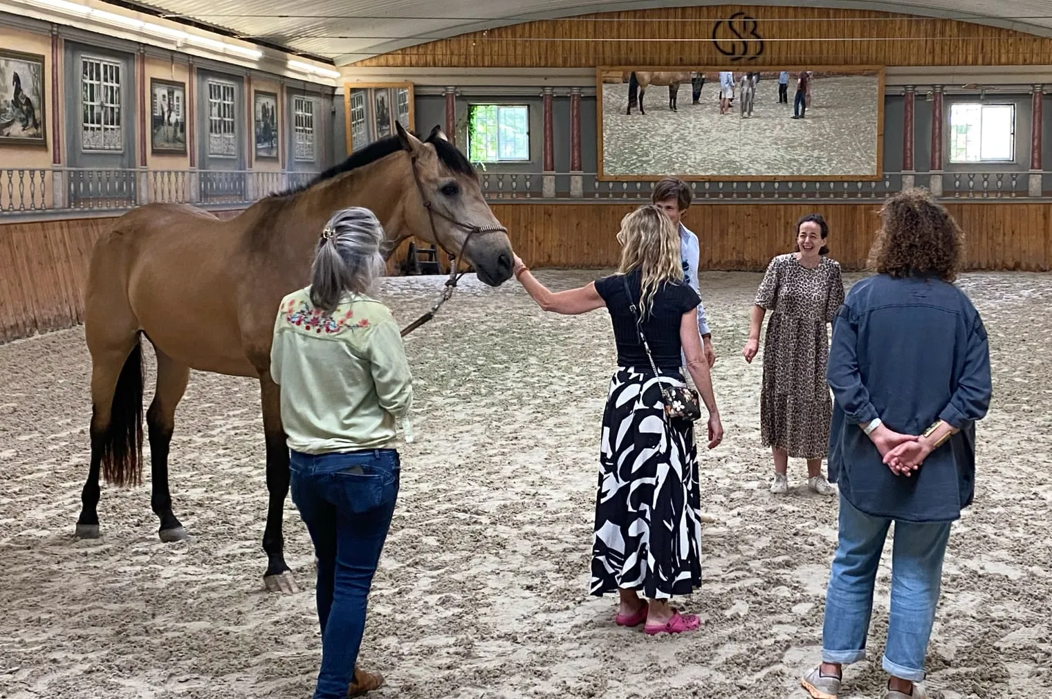 Grupo de equicoachados pronto para iniciar uma sessão com cavalo