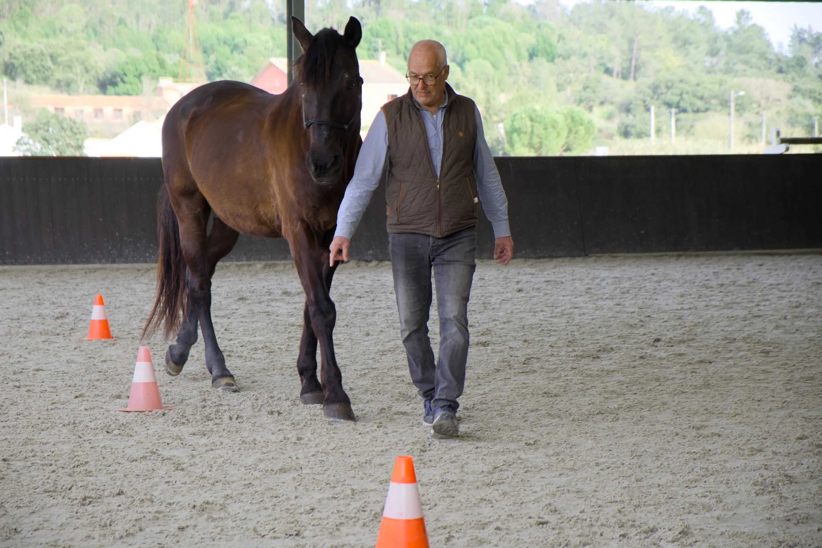 Homem a executar um slalom com o seu cavalo em liberdade