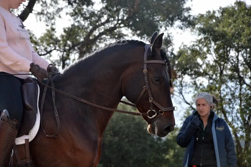 A treinadora fala no fone de ouvido, o cavalo está concentrado