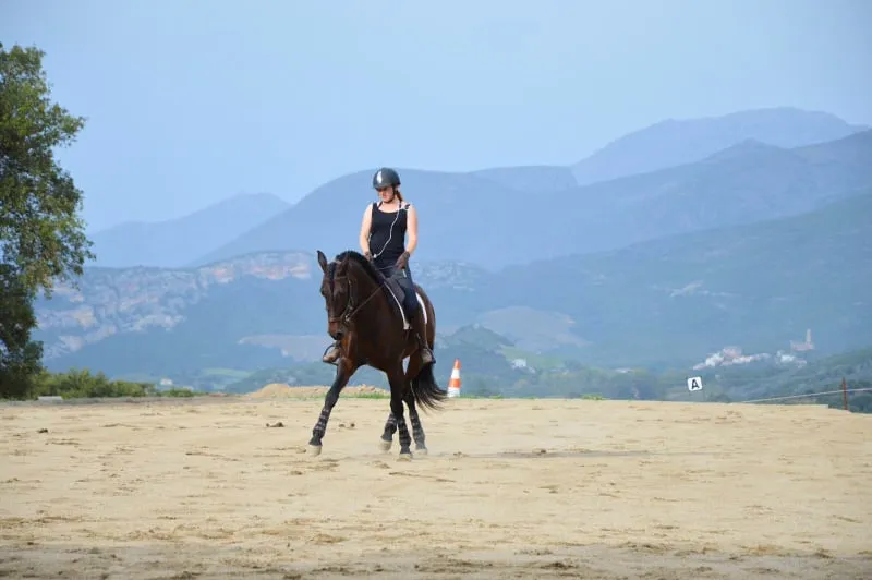 Amazona com seu cavalo lusitano, deslocamento lateral, vista para as montanhas da Córsega
