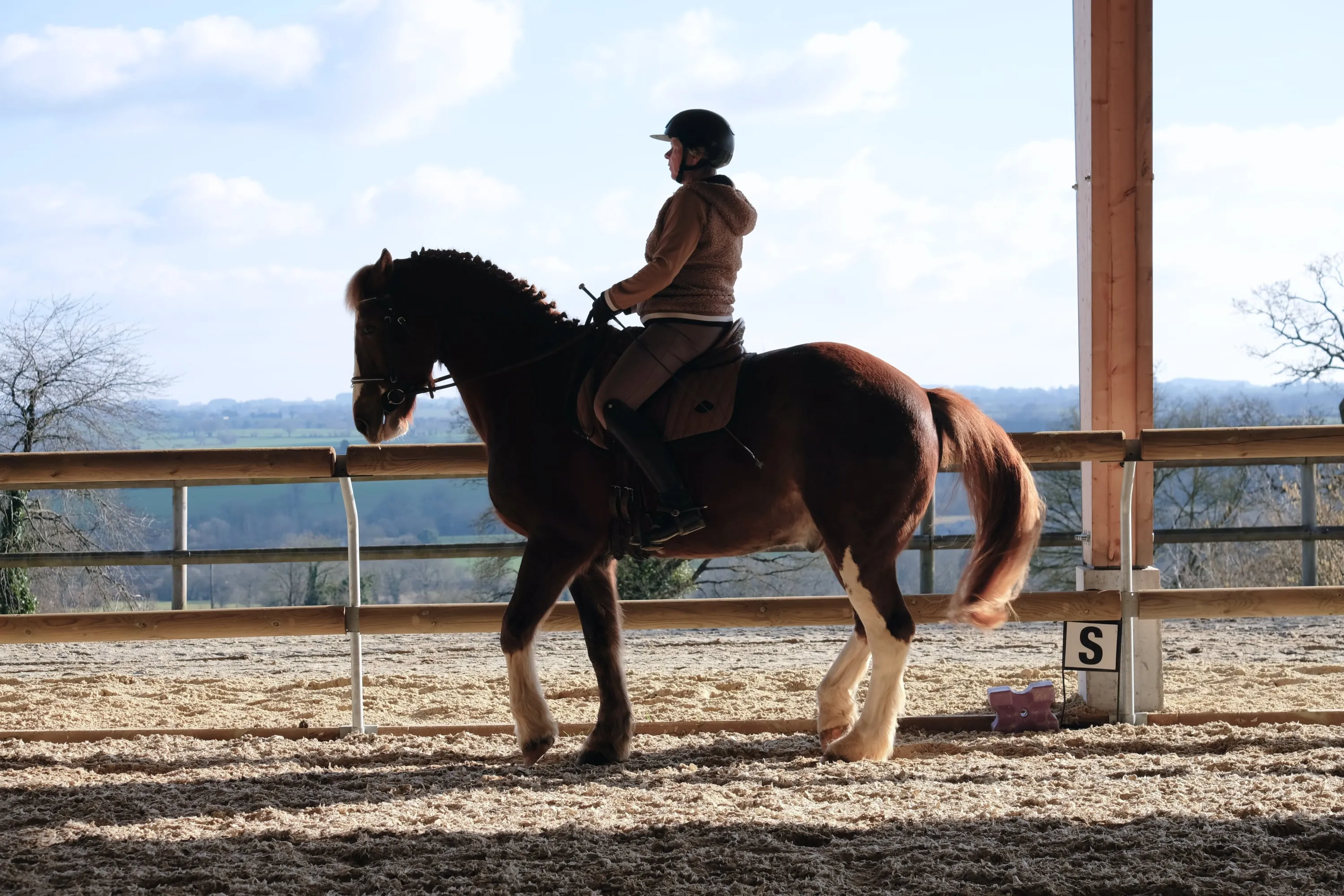 Casal amazona-cavalo esboçando um suave piaffe